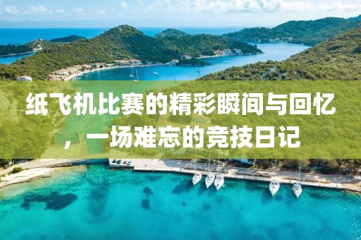 紙飛機比賽的精彩瞬間與回憶，一場難忘的競技日記