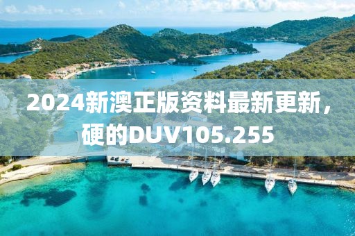 2024新澳正版資料最新更新，硬的DUV105.255