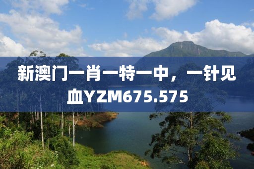 新澳門一肖一特一中，一針見血YZM675.575