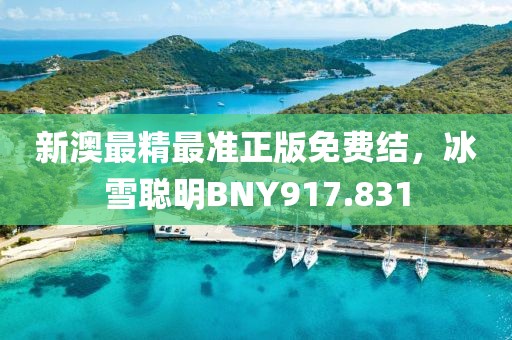 新澳最精最準(zhǔn)正版免費結(jié)，冰雪聰明BNY917.831