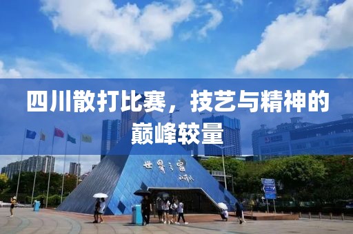 四川散打比賽，技藝與精神的巔峰較量