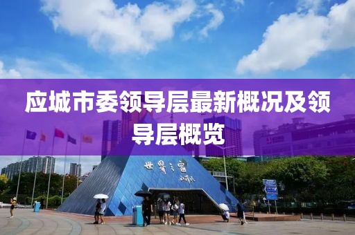 應(yīng)城市委領(lǐng)導(dǎo)層最新概況及領(lǐng)導(dǎo)層概覽