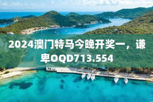 2024澳門特馬今晚開獎(jiǎng)一，謙卑OQD713.554