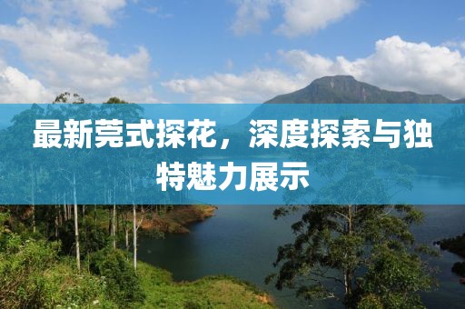 最新莞式探花，深度探索與獨(dú)特魅力展示