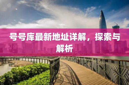 號(hào)號(hào)庫最新地址詳解，探索與解析