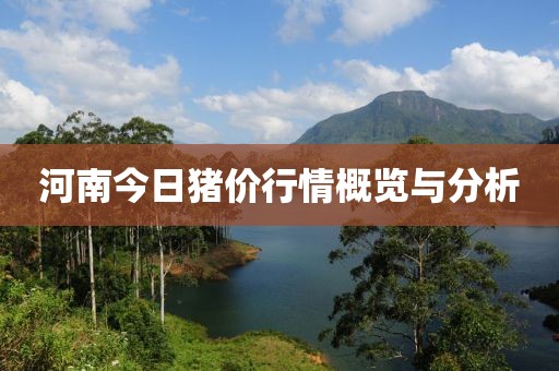 河南今日豬價行情概覽與分析