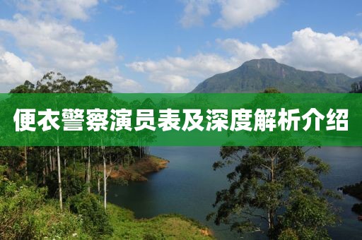 便衣警察演員表及深度解析介紹