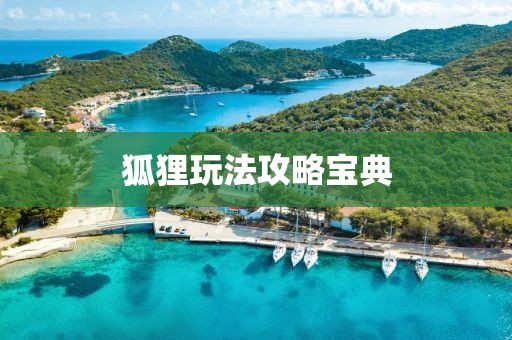 狐貍玩法攻略寶典