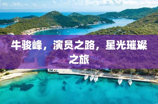 牛駿峰，演員之路，星光璀璨之旅