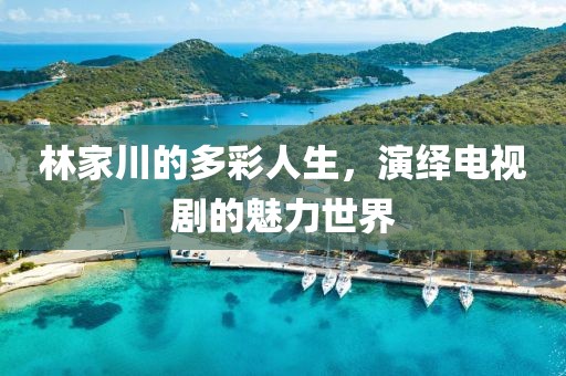 林家川的多彩人生，演繹電視劇的魅力世界