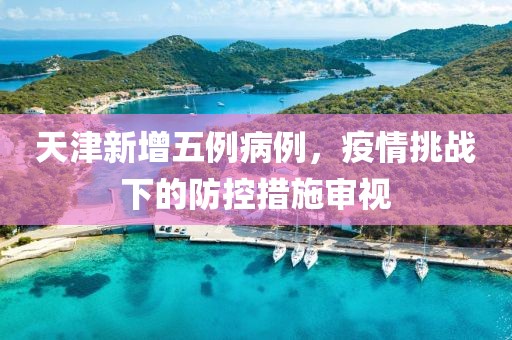 天津新增五例病例，疫情挑戰(zhàn)下的防控措施審視