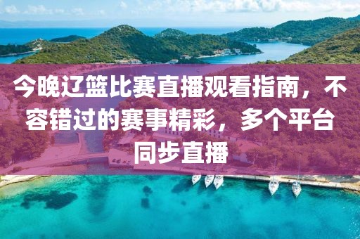 今晚遼籃比賽直播觀看指南，不容錯過的賽事精彩，多個平臺同步直播