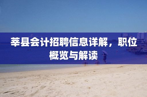 莘縣會計招聘信息詳解，職位概覽與解讀