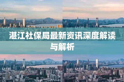 湛江社保局最新資訊深度解讀與解析
