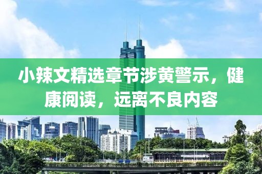 小辣文精選章節(jié)涉黃警示，健康閱讀，遠離不良內容