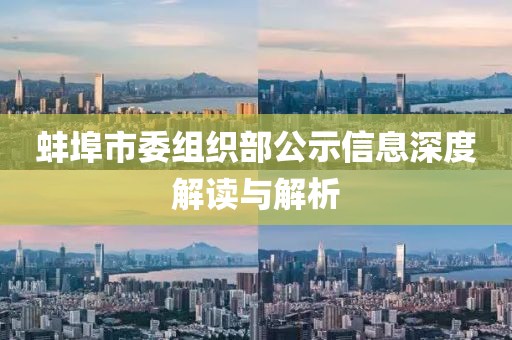 蚌埠市委組織部公示信息深度解讀與解析