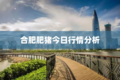 合肥肥豬今日行情分析