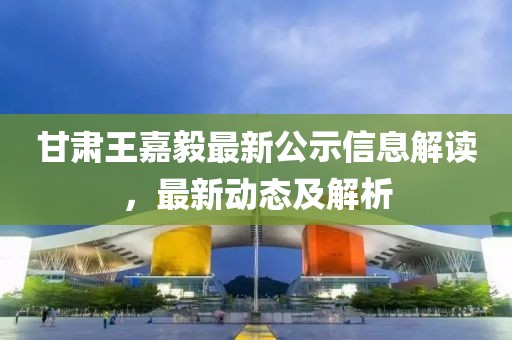 甘肅王嘉毅最新公示信息解讀，最新動(dòng)態(tài)及解析