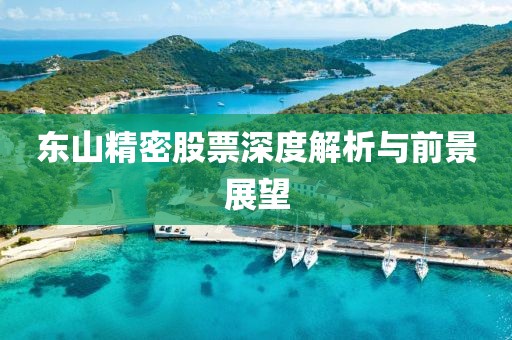 東山精密股票深度解析與前景展望