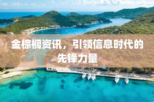 金棕櫚資訊，引領信息時代的先鋒力量