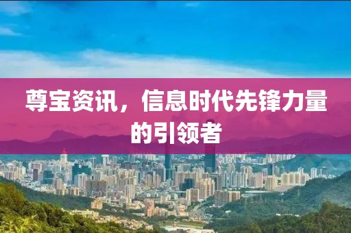 尊寶資訊，信息時代先鋒力量的引領(lǐng)者