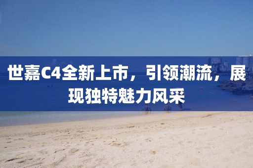 世嘉C4全新上市，引領(lǐng)潮流，展現(xiàn)獨特魅力風采