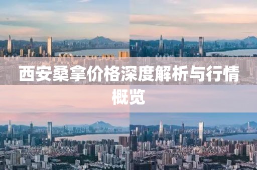 西安桑拿價(jià)格深度解析與行情概覽