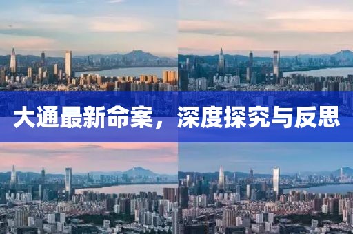大通最新命案，深度探究與反思