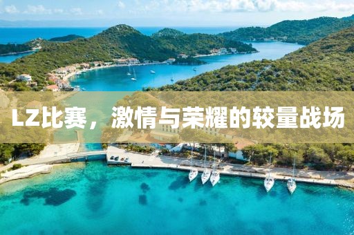 LZ比賽，激情與榮耀的較量戰(zhàn)場