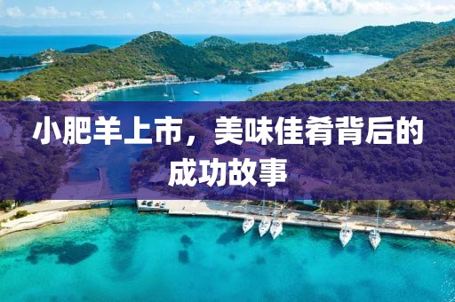 小肥羊上市，美味佳肴背后的成功故事