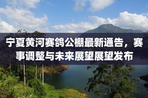 寧夏黃河賽鴿公棚最新通告，賽事調(diào)整與未來展望展望發(fā)布