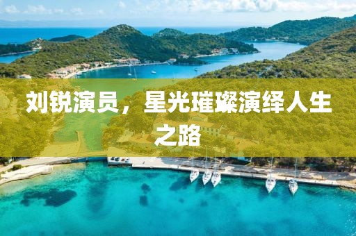 劉銳演員，星光璀璨演繹人生之路
