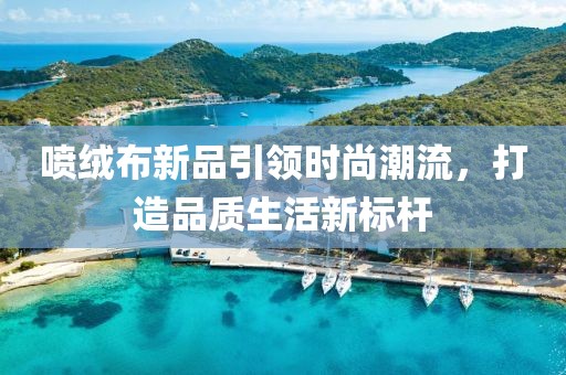 噴絨布新品引領(lǐng)時(shí)尚潮流，打造品質(zhì)生活新標(biāo)桿