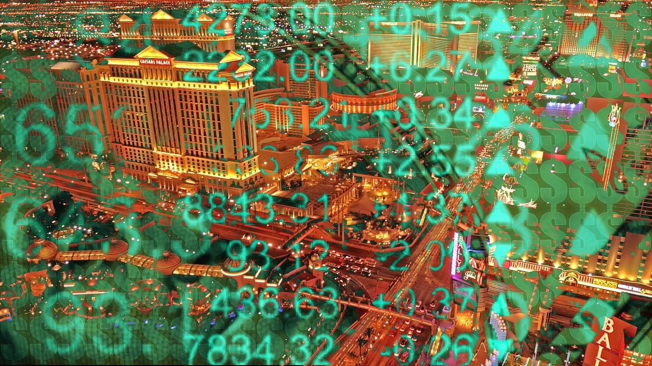 羽絨市場(chǎng)最新動(dòng)態(tài)揭秘，趨勢(shì)、機(jī)遇與挑戰(zhàn)并存