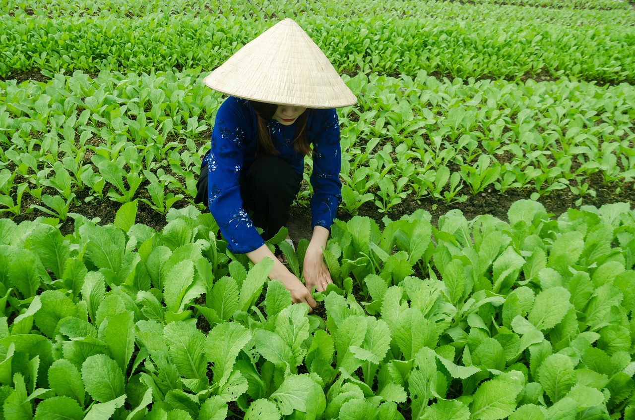 河源監(jiān)獄，改革、創(chuàng)新與發(fā)展最新動(dòng)態(tài)揭秘