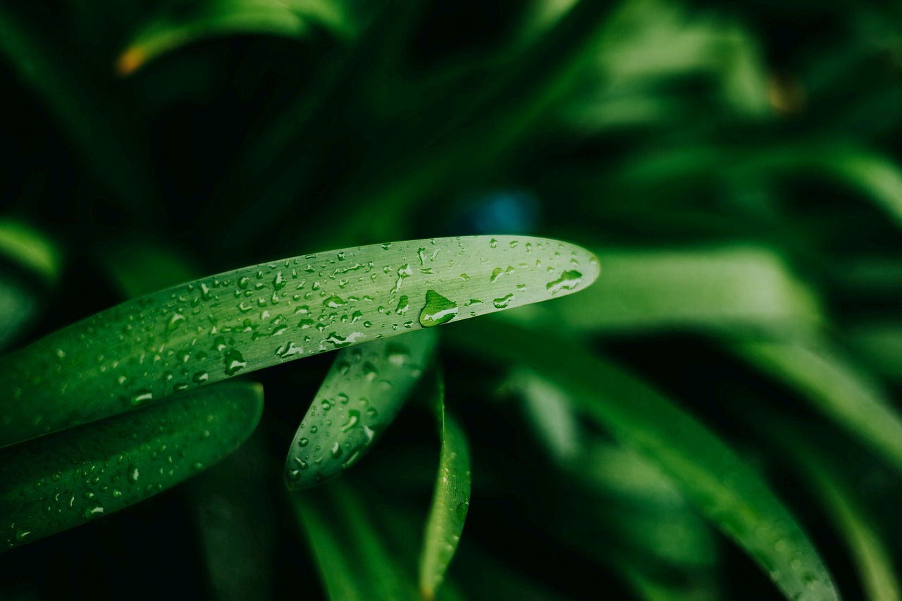 探索生物信息學(xué)的未來，生信前沿動態(tài)與無限潛力