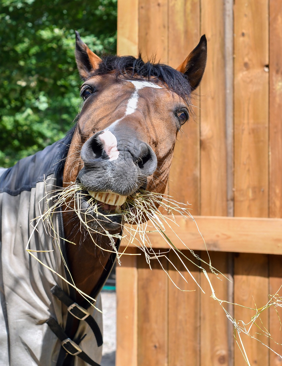2024澳門特馬今晚開獎56期的，漂亮的854.096