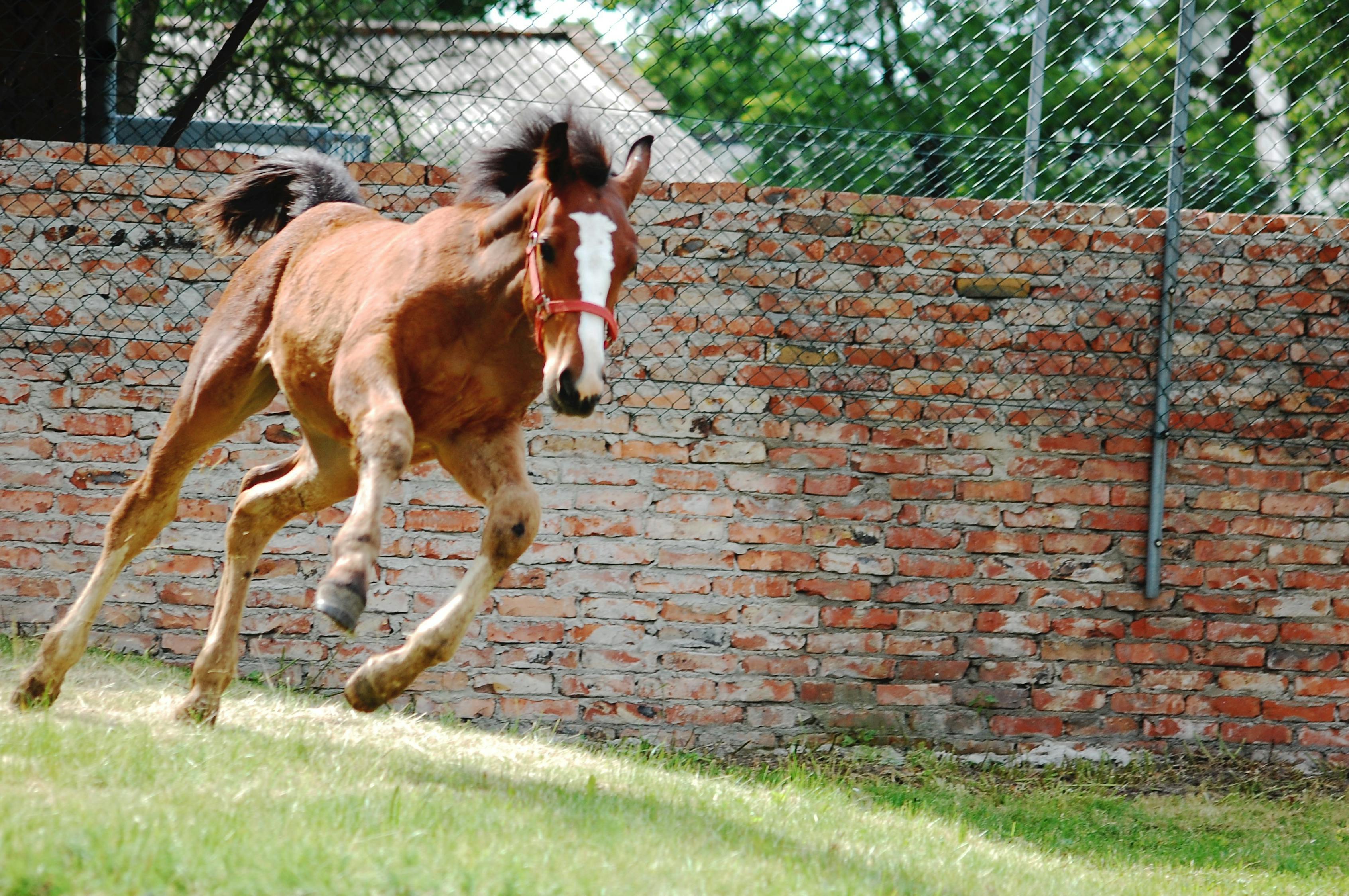 2024澳門特馬今晚開(kāi)獎(jiǎng)138期，至死不變 1545.866
