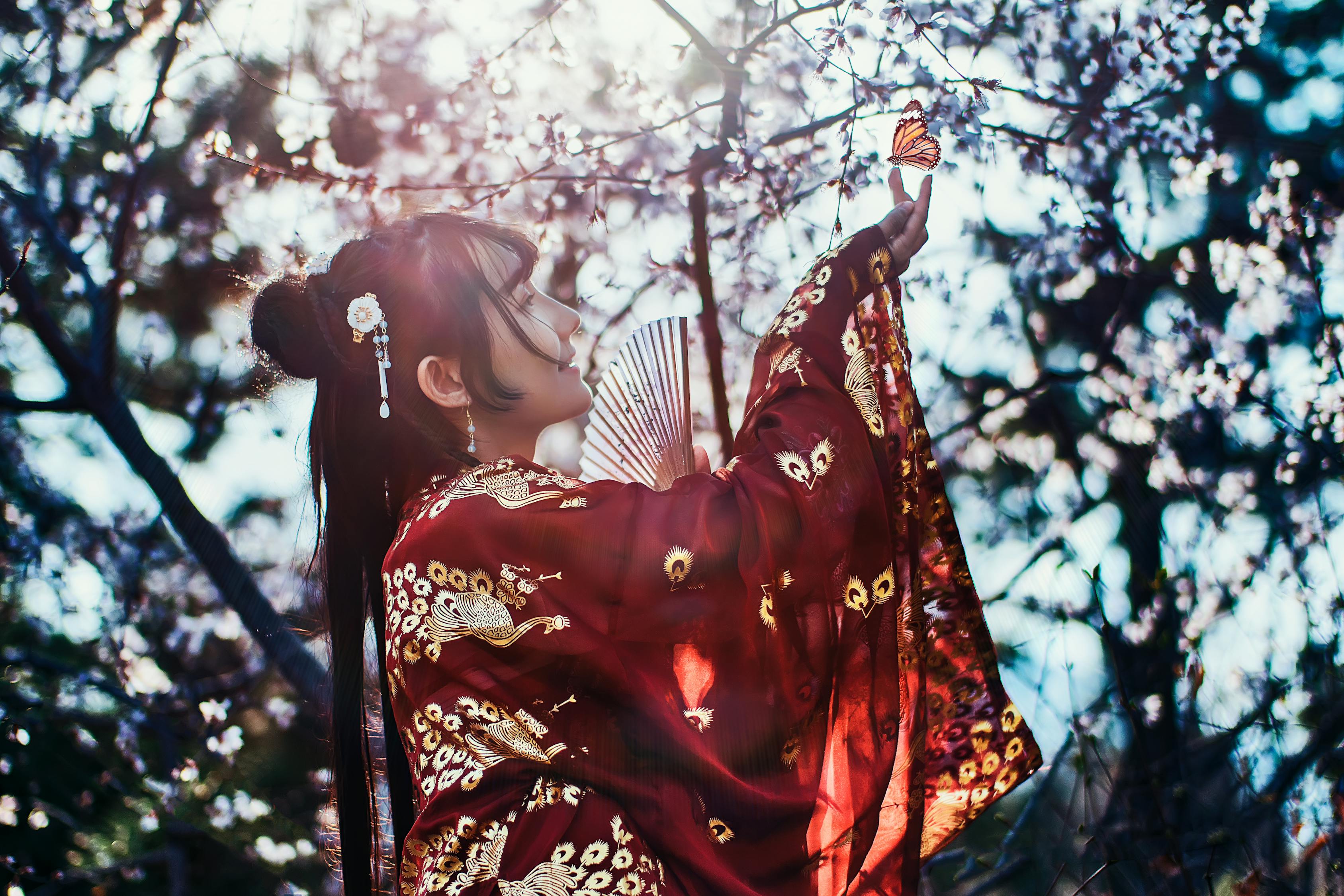嘆動(dòng)漫，魅力與情感的交織世界