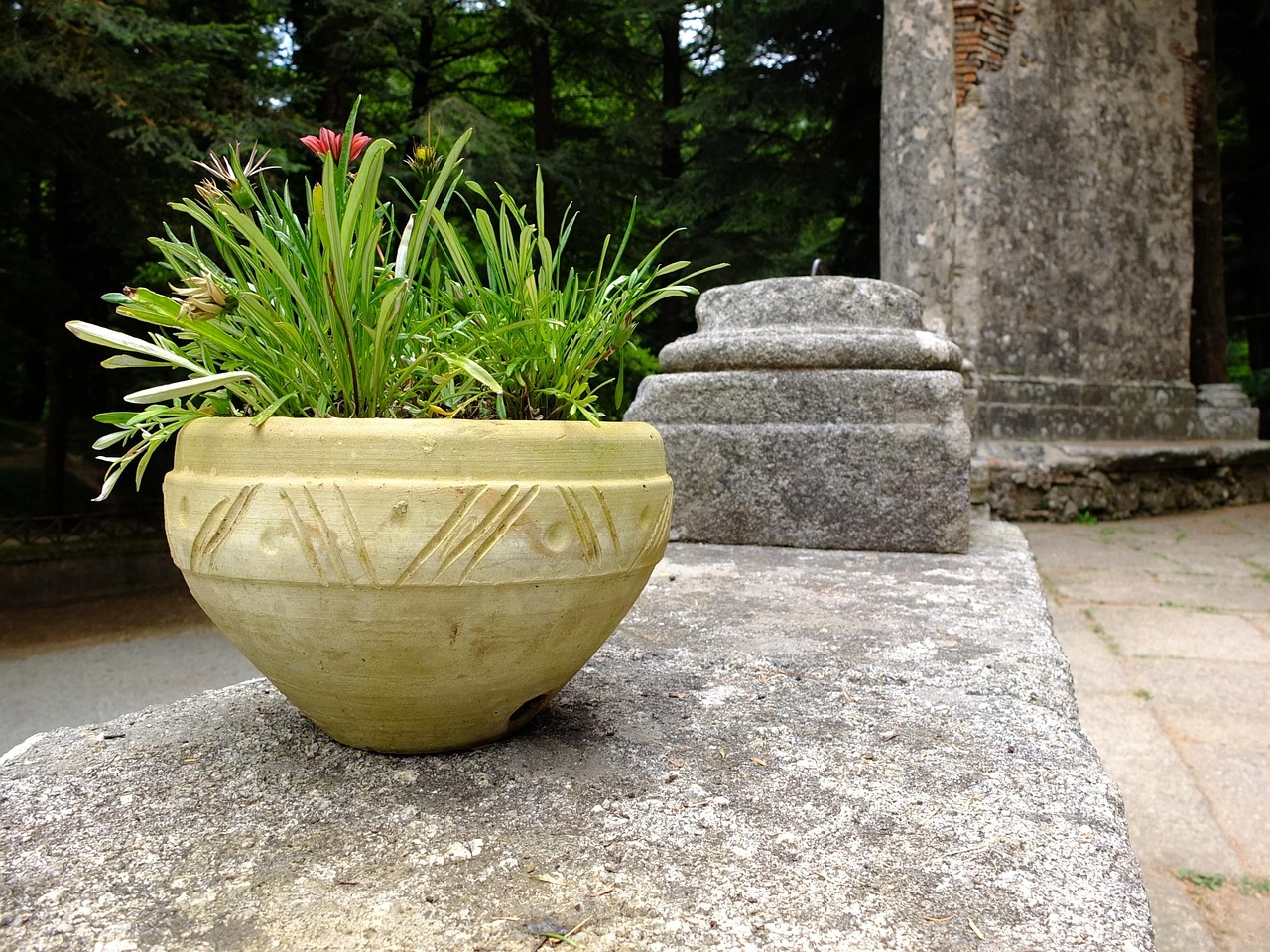 盆景花盆價(jià)格分析與購買指南，市場(chǎng)趨勢(shì)及選購建議