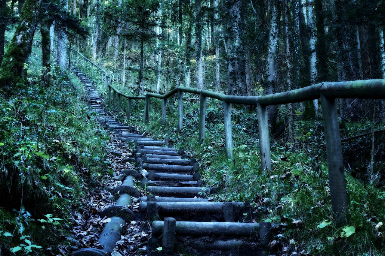 探尋神秘世界的奇幻之旅，花間高手最新章節(jié)免費(fèi)閱讀