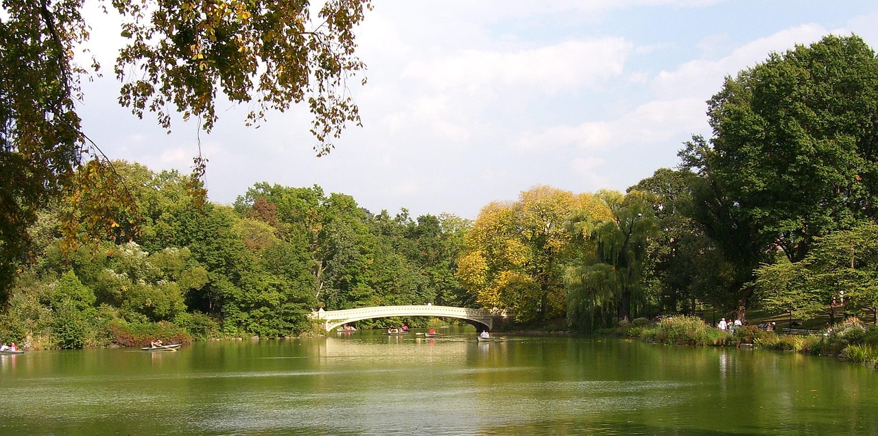 賈汪中央公園房價行情深度解析