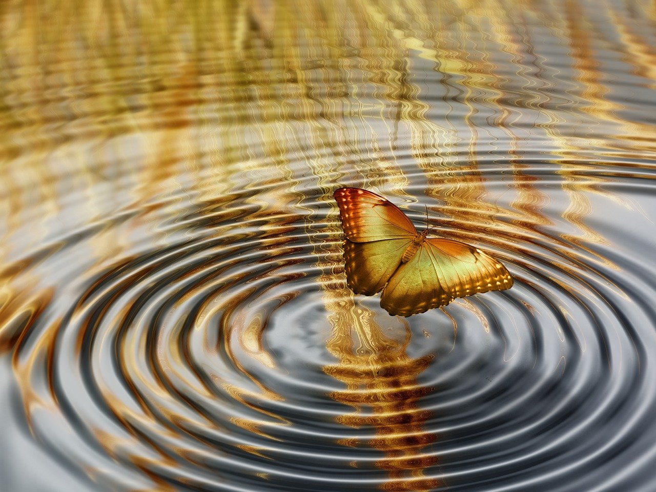 超體新篇章，探索人類未來的無限潛能