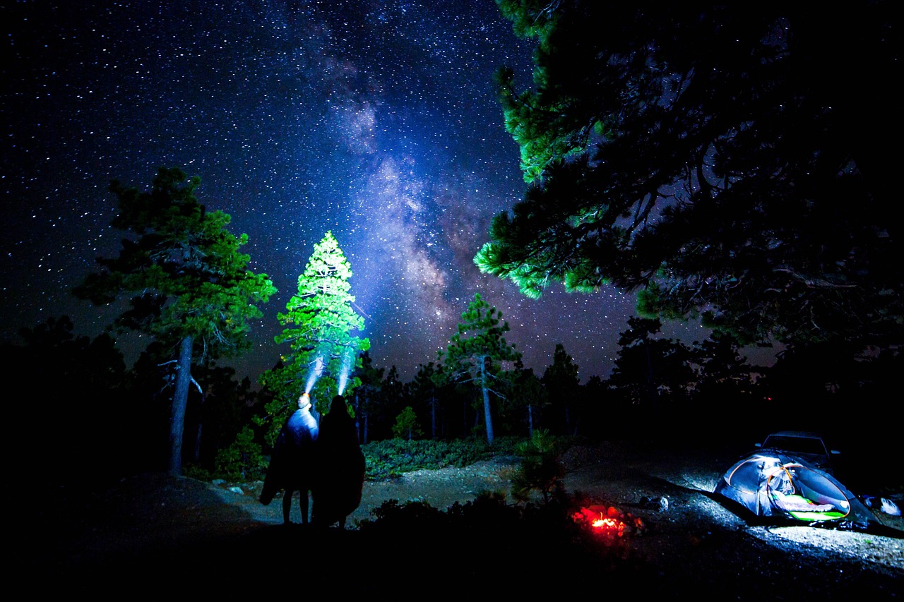 璀璨文體明星，照亮文化天空的星辰之光
