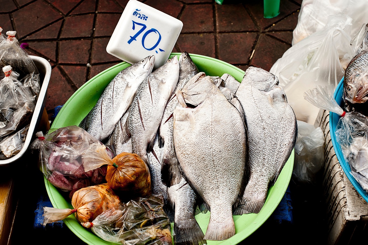 白鮰魚(yú)價(jià)格分析，市場(chǎng)走勢(shì)與影響因素探討