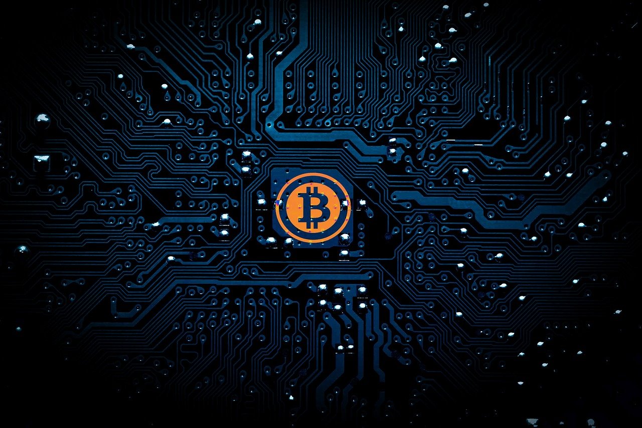 楊文娜，演員之路的閃耀之星