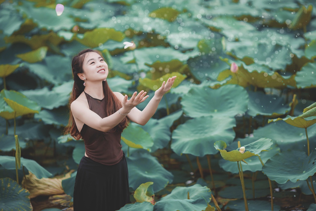 杭州與成都最新動(dòng)態(tài)速遞，揭示兩地最新發(fā)展趨勢與動(dòng)態(tài)更新