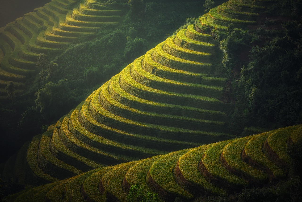 海鹽發(fā)展前沿動(dòng)態(tài)揭秘，最新產(chǎn)業(yè)動(dòng)向與發(fā)展探索