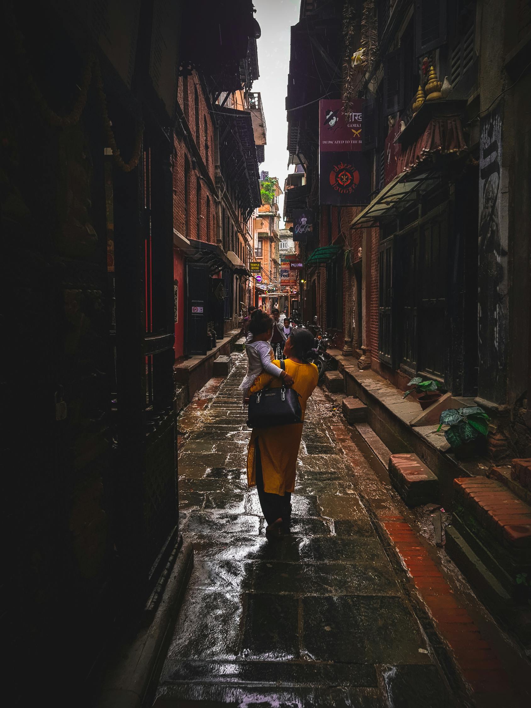 明星之光，背后的故事與榮耀之路