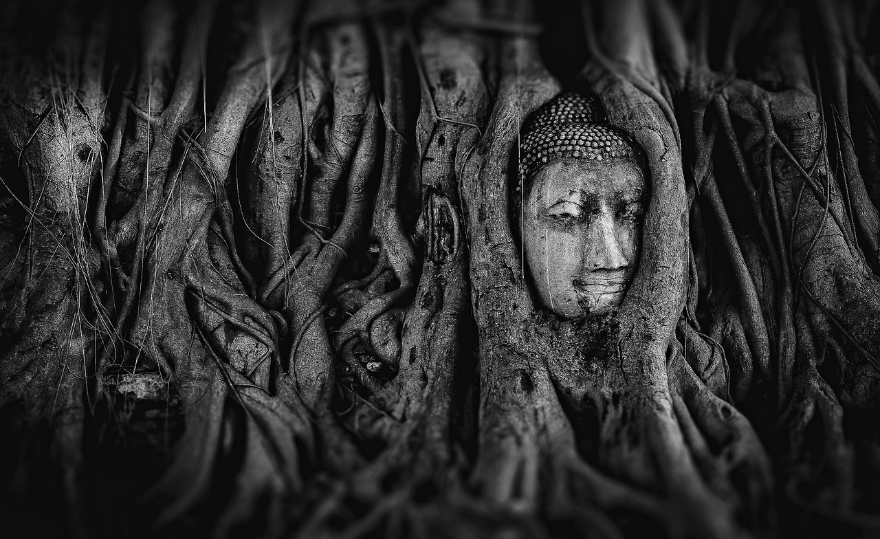 神明動(dòng)漫，神秘世界奇幻探索之旅